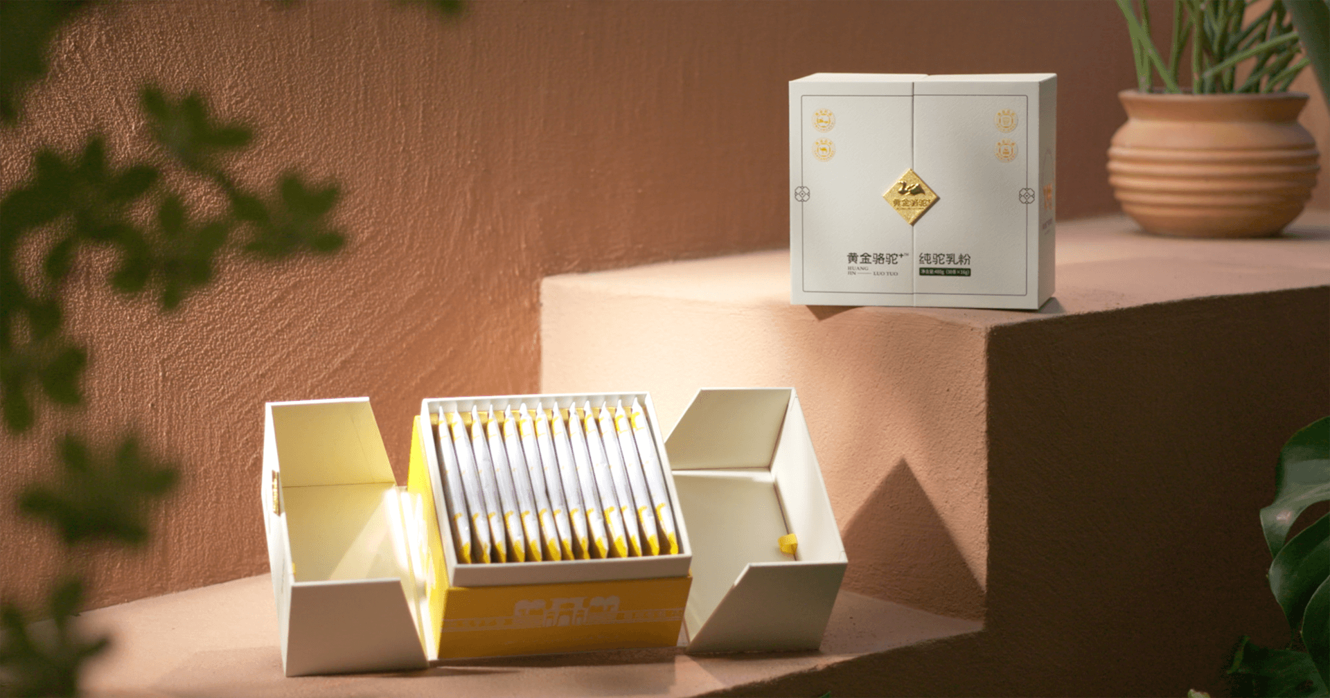 定位小众高端乳粉，尊龙凯时推出驼奶品牌“黄金骆驼+”，角逐乳品新市场！